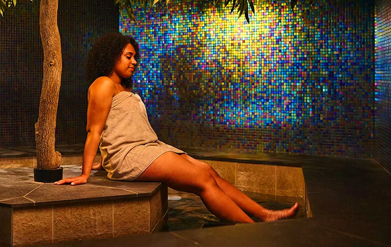 Dagentree Veluwse Bron