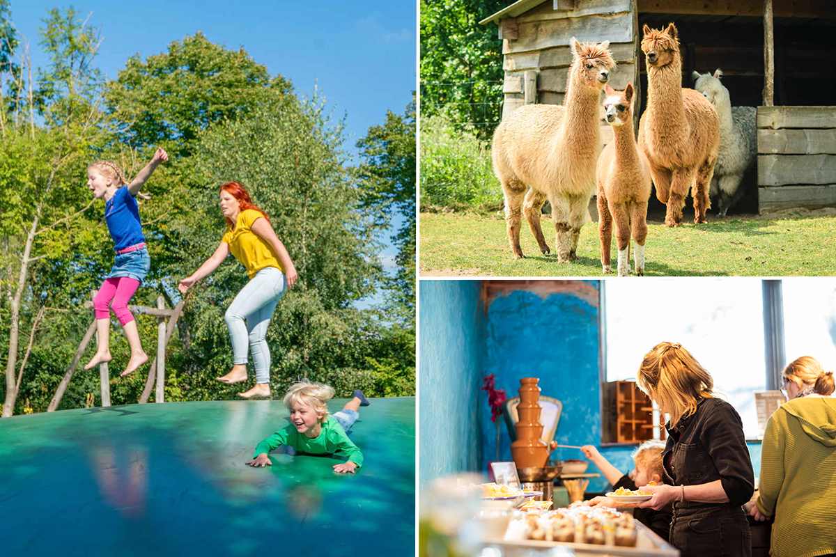 Dagentree incl. 2,5 uur brunchbuffet bij Hof van Eckberge