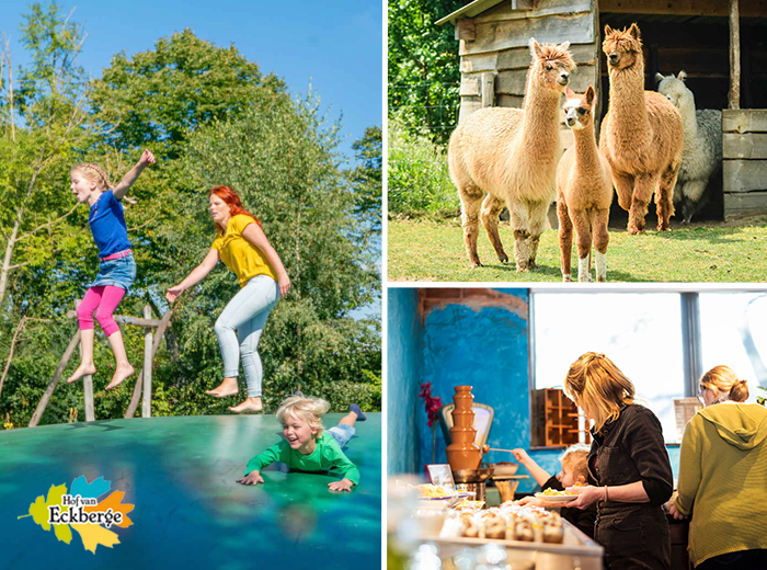 Dagentree incl. 2,5 uur brunchbuffet bij Hof van Eckberge