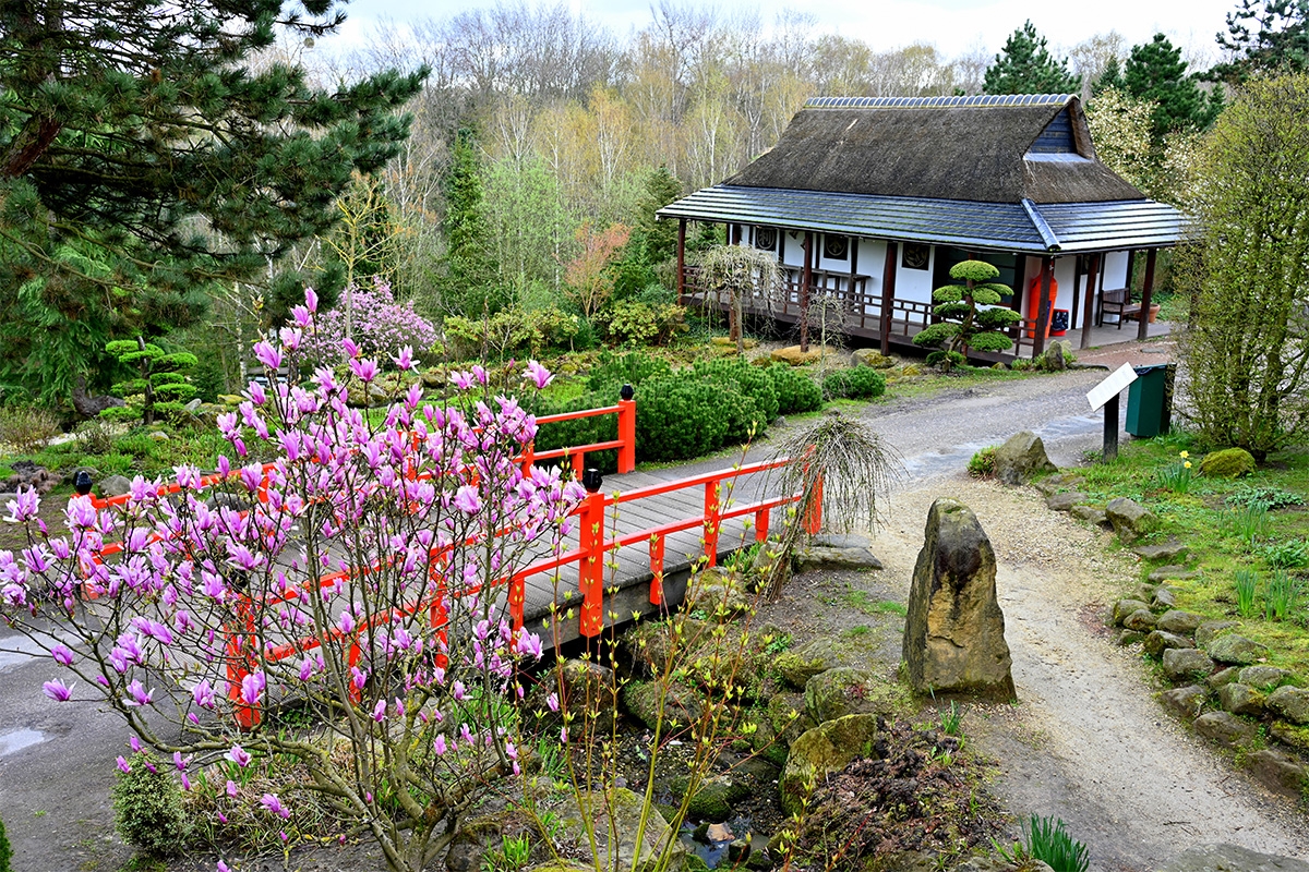 Dagentree Mondo Verde + onbeperkt eten en drinken