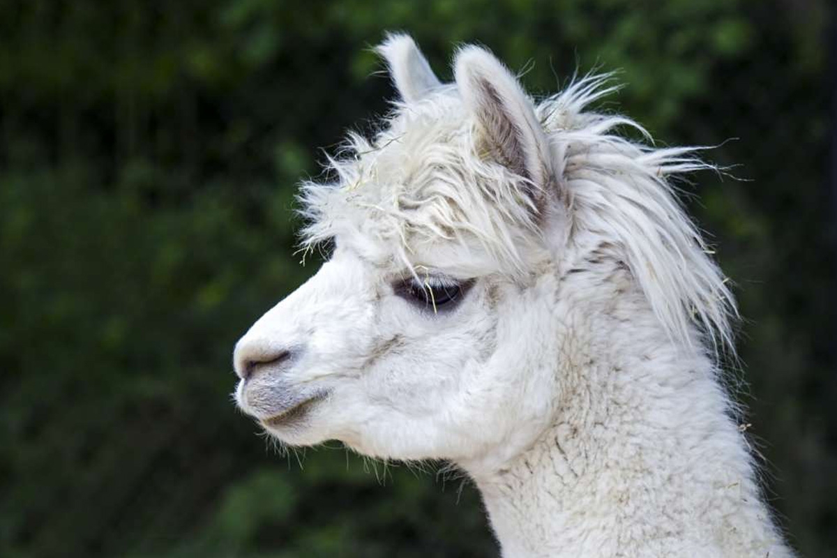 Dagentree Mondo Verde + onbeperkt eten en drinken