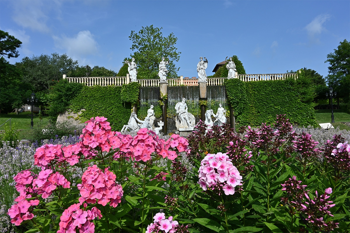 Dagentree Mondo Verde + onbeperkt eten en drinken
