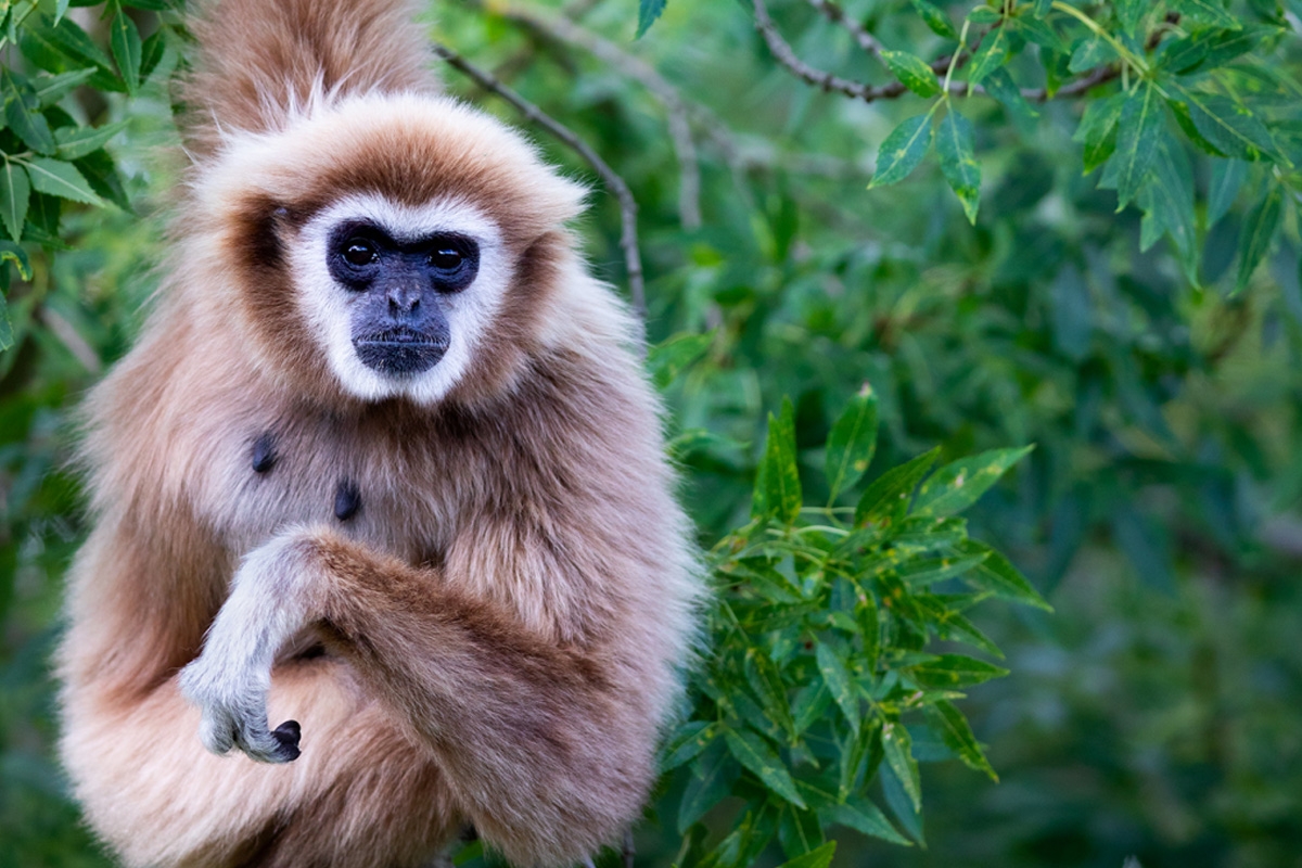 Dagentree Mondo Verde + onbeperkt eten en drinken