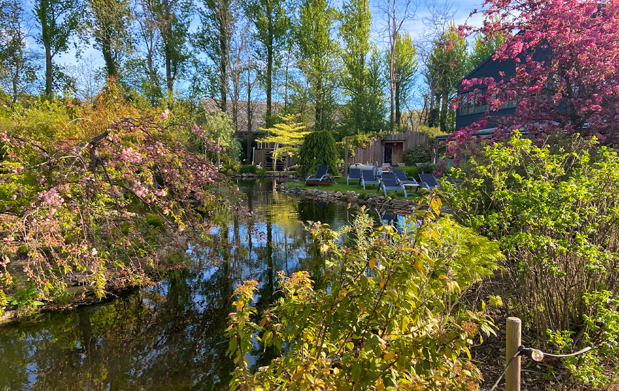 Dagentree + kuusi massage bij Thermen Binnenmaas