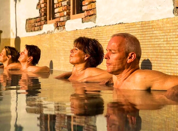 Dagentree Veluwse Bron