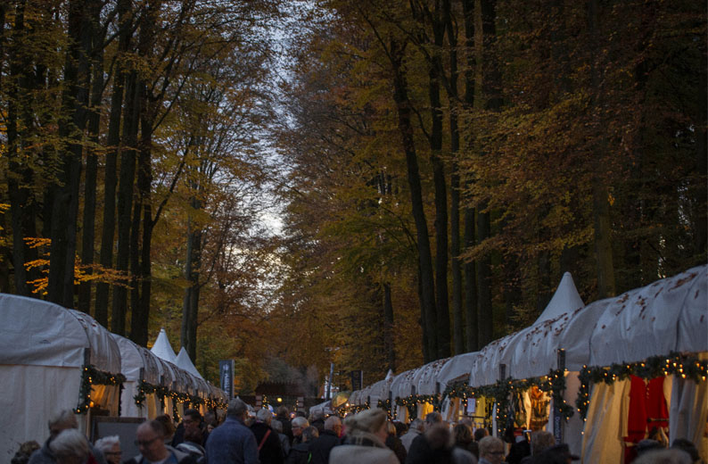 Entreeticket Spirit of Winter