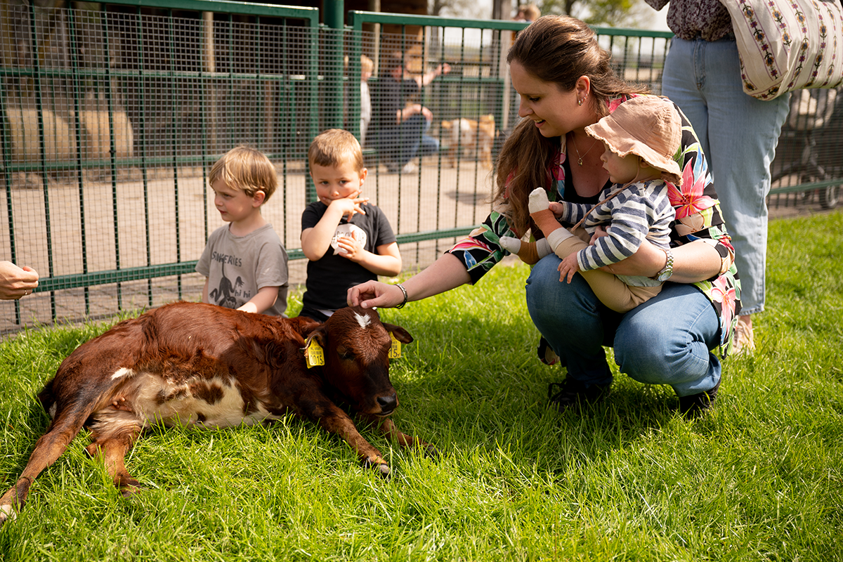 All-in entreeticket De Flierefluiter + Flierefluiter beker