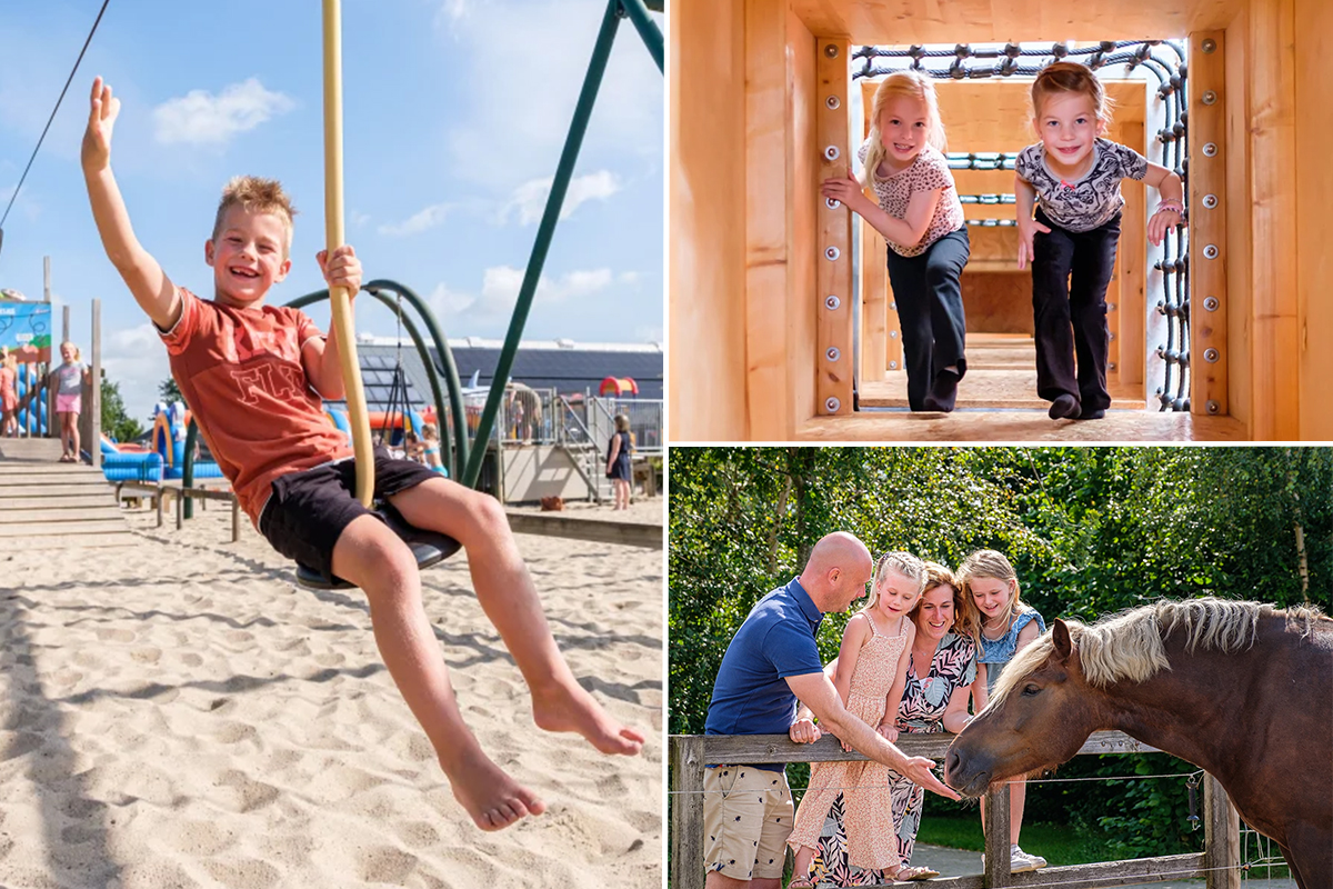 All-in entreeticket De Flierefluiter + Flierefluiter beker