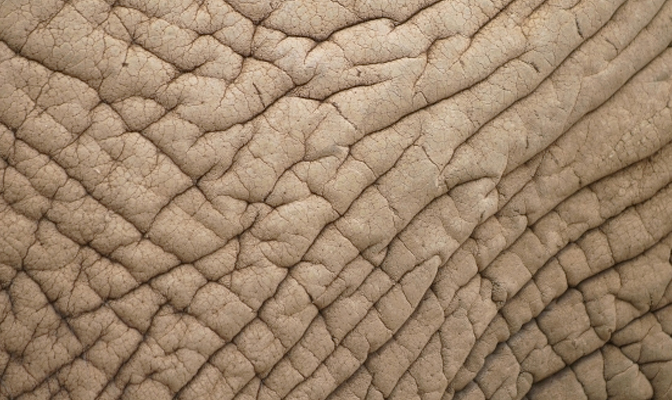 Er jaren jonger uit zien met de Face-Up behandeling 