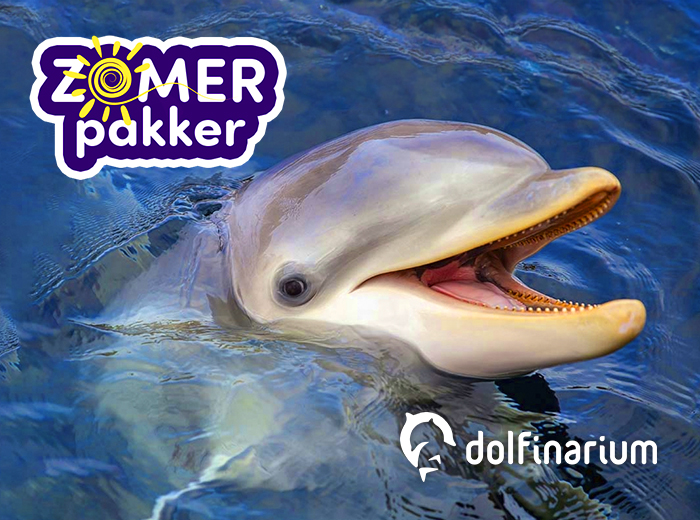 Billet d'entrée pour le Dolfinarium