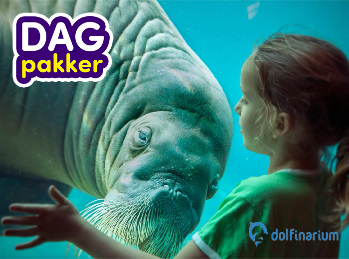 Entreeticket Dolfinarium