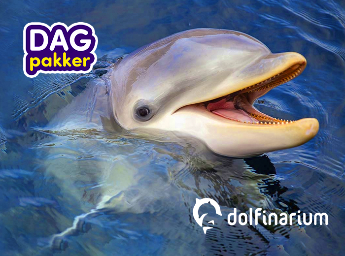 Entreeticket Dolfinarium
