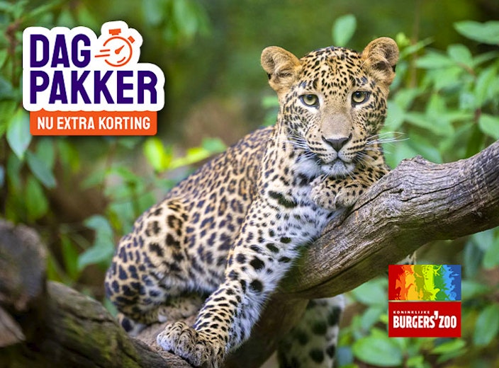 Entreeticket Burgers' Zoo