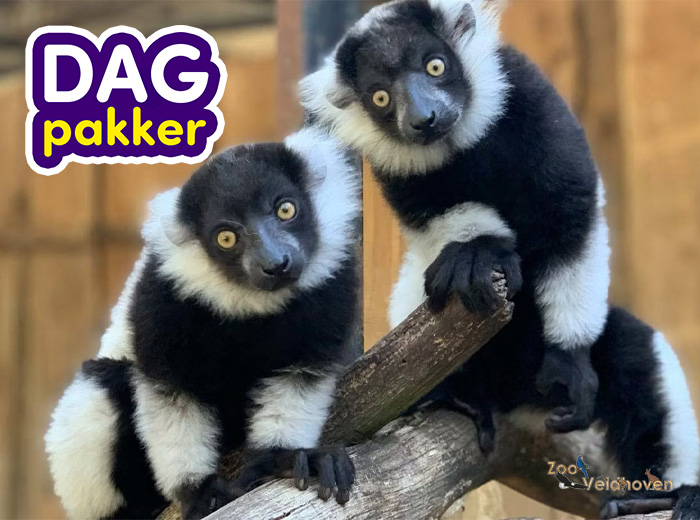 Entreeticket Zoo Veldhoven