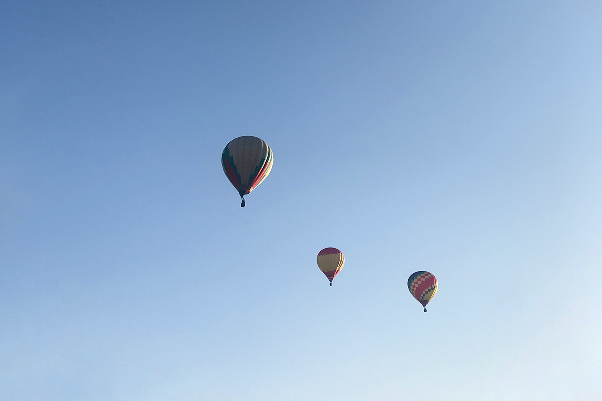 Deluxe ballonvaart van 1 tot 1,5 uur incl. champagne 
