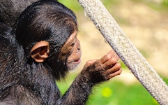 DierenPark Amersfoort