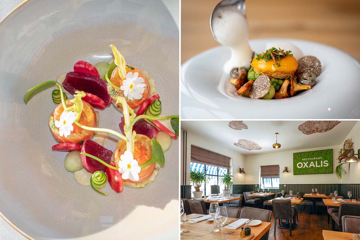 Luxe 3-gangenlunch of -diner bij Oxalis