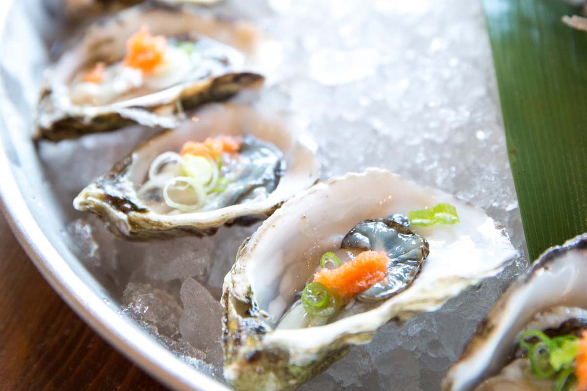 Twee gerechten + side naar keuze bij Merlin Seafood Bar