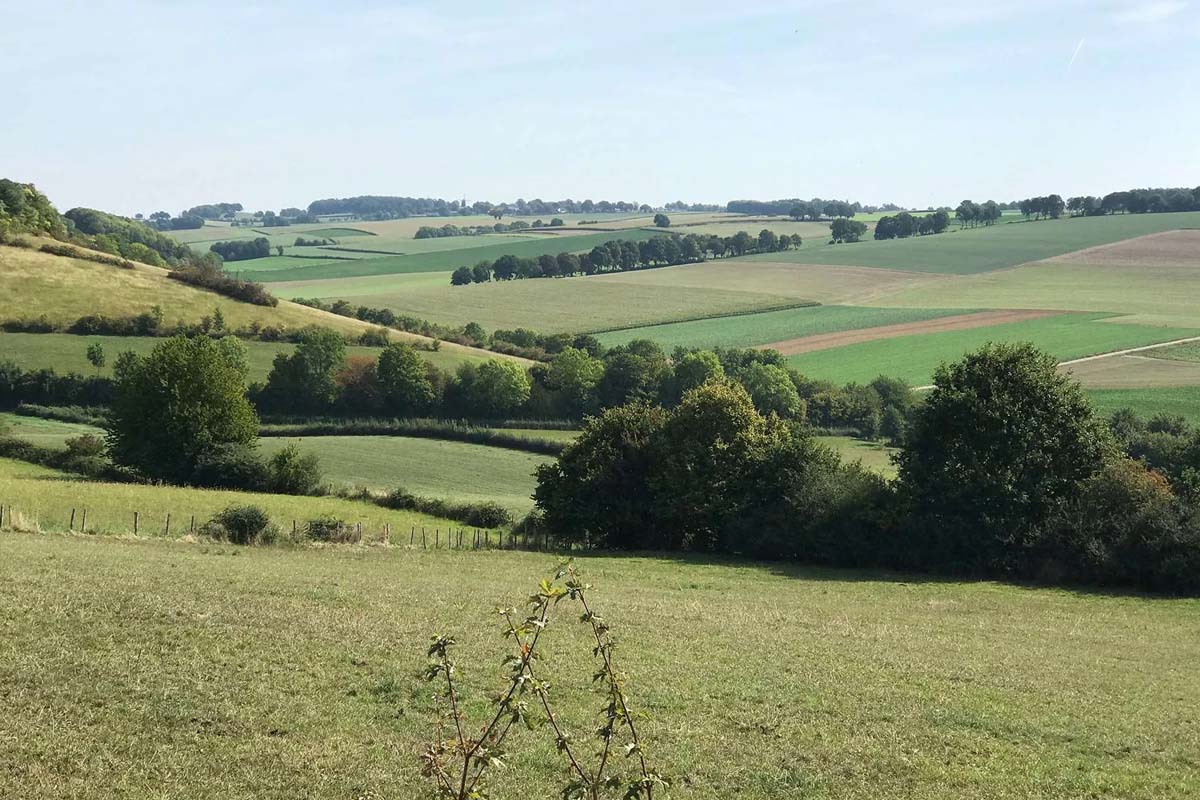 E-bike huren (hele dag) Scooterverhuur Limburg