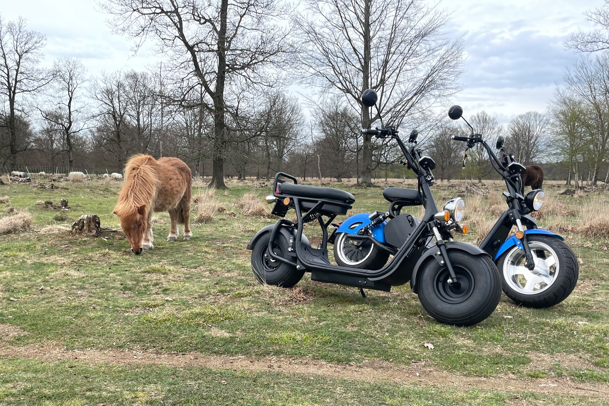 E-chopper huren (3 uur) Hondsrug Tours