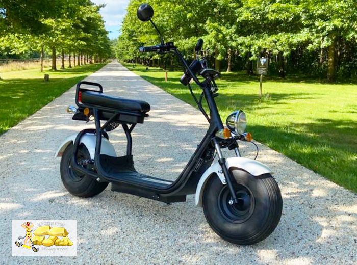 E-chopper huren (3 uur) Hondsrug Tours