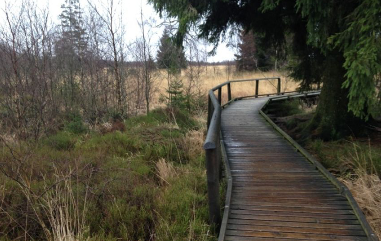 4 uur durende E-Chopper tocht door Drenthe