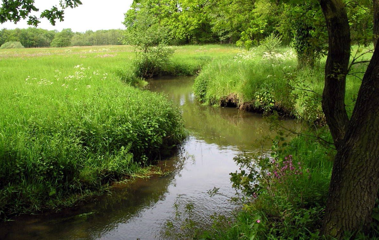 4 uur durende E-Chopper tocht door Drenthe