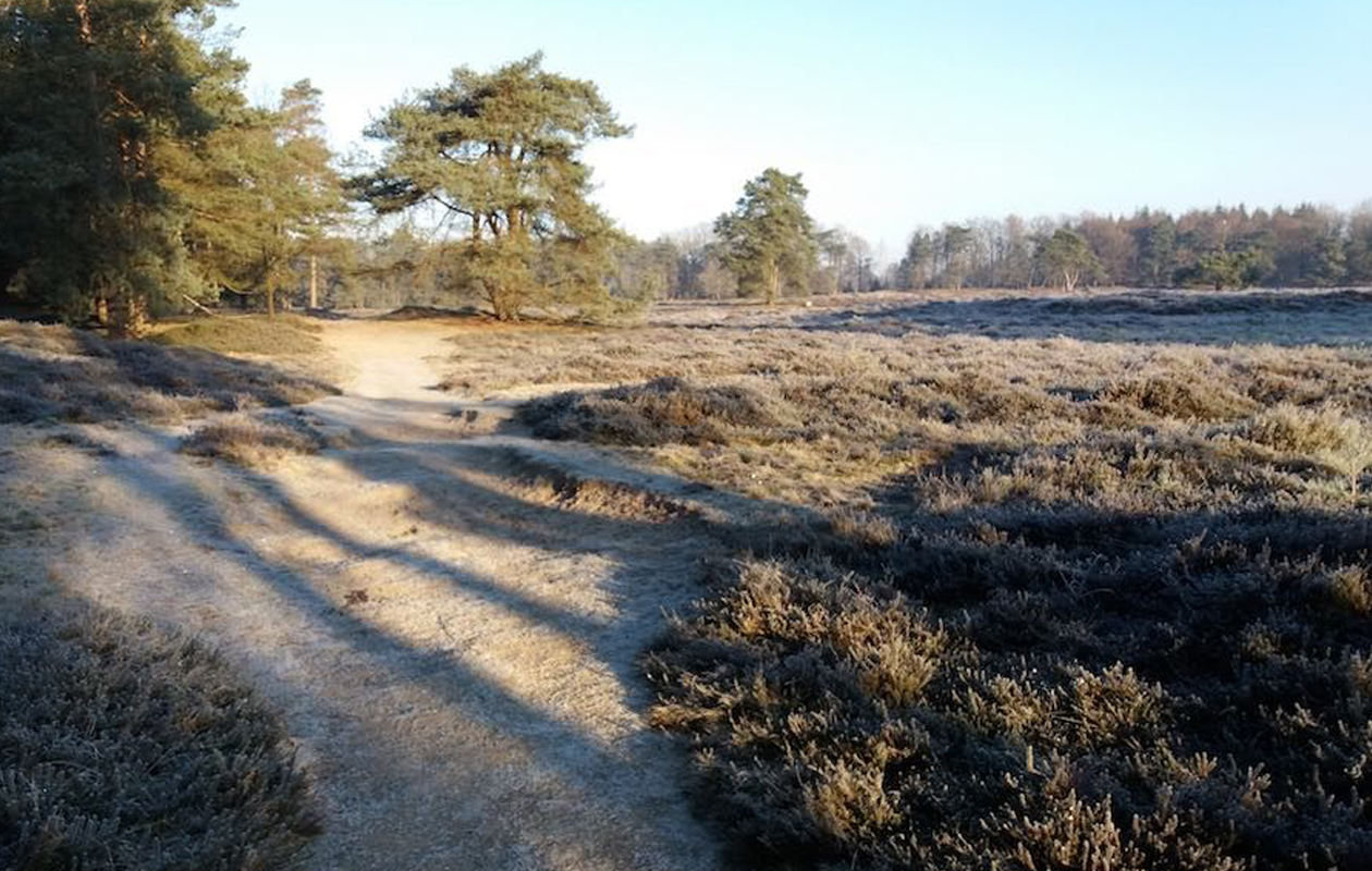 4 uur durende E-Chopper tocht door Drenthe