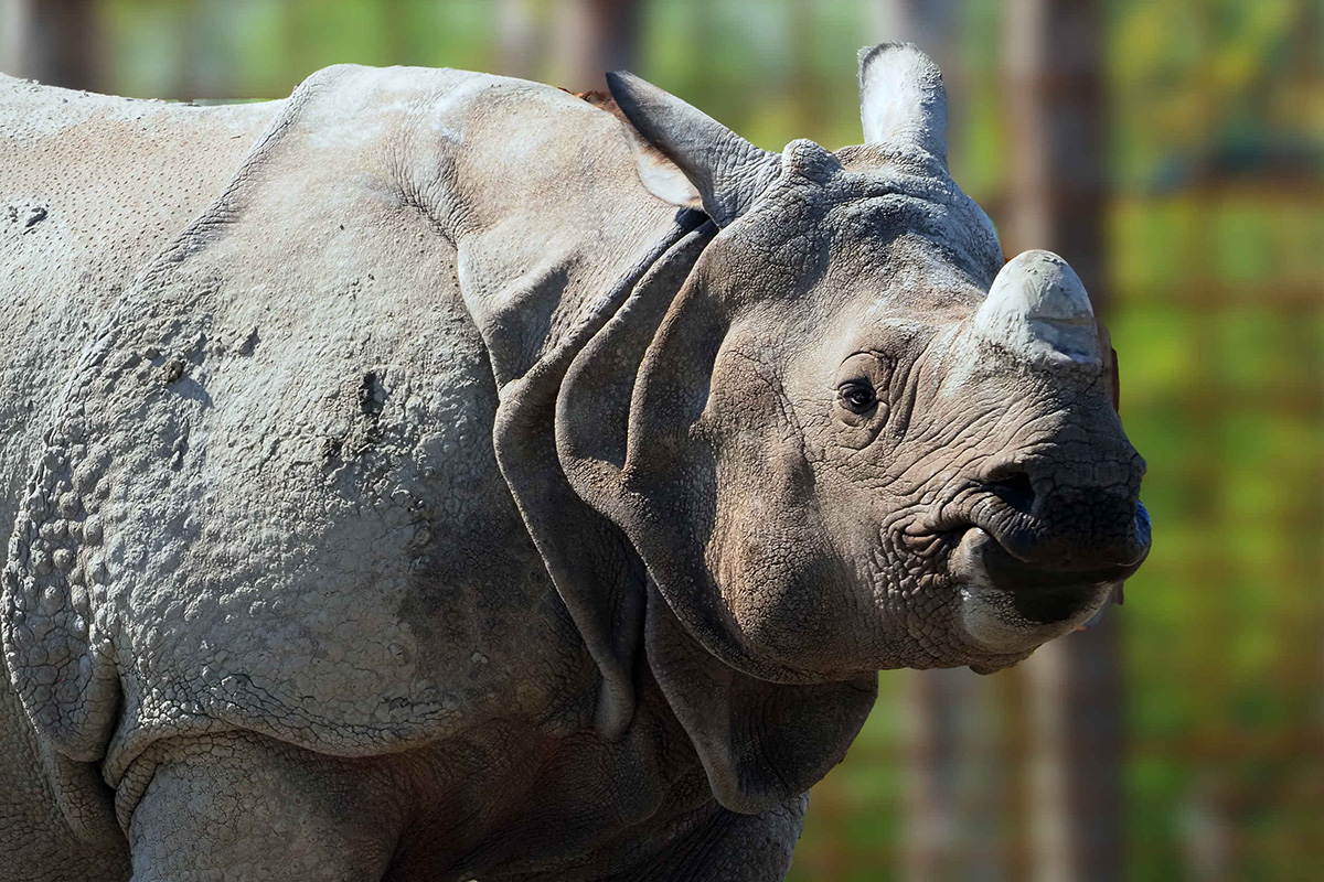 Entreeticket Eindhoven Zoo