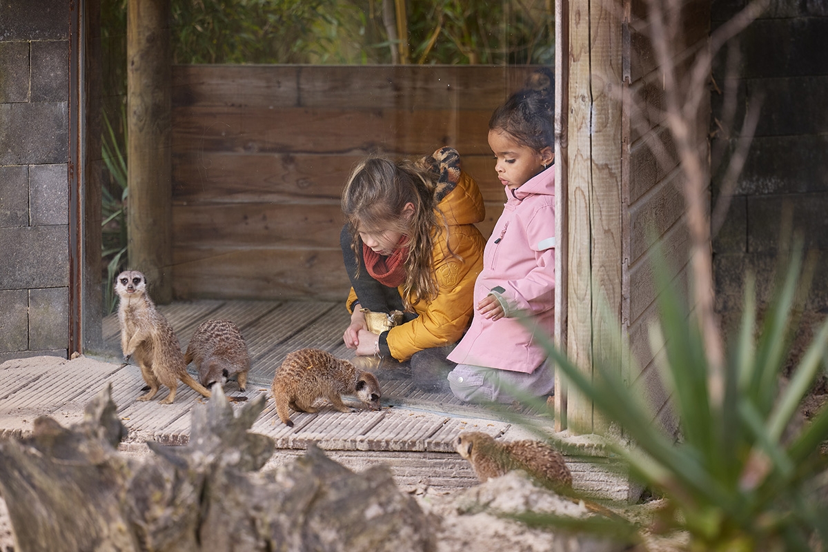 Entreeticket Eindhoven Zoo