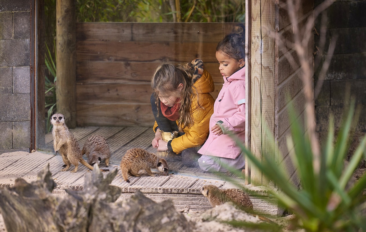 Entreeticket Eindhoven Zoo