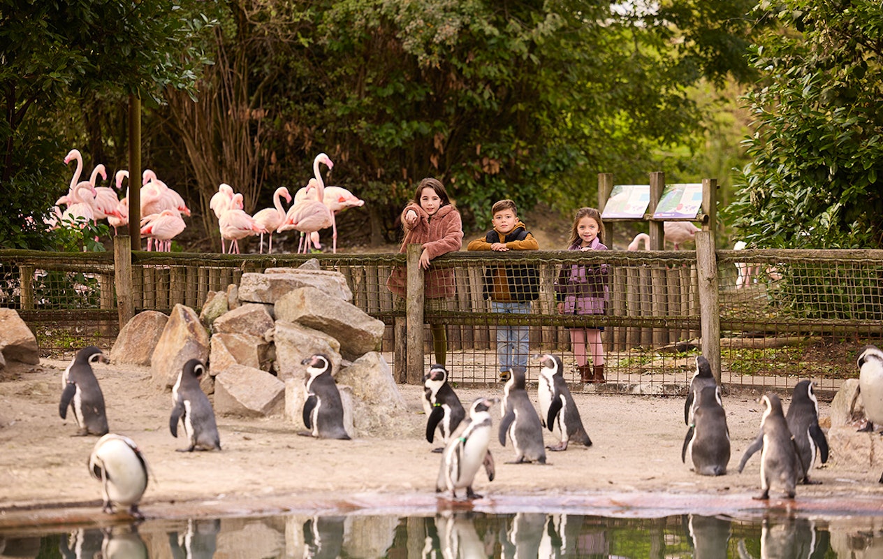 Entreeticket Eindhoven Zoo