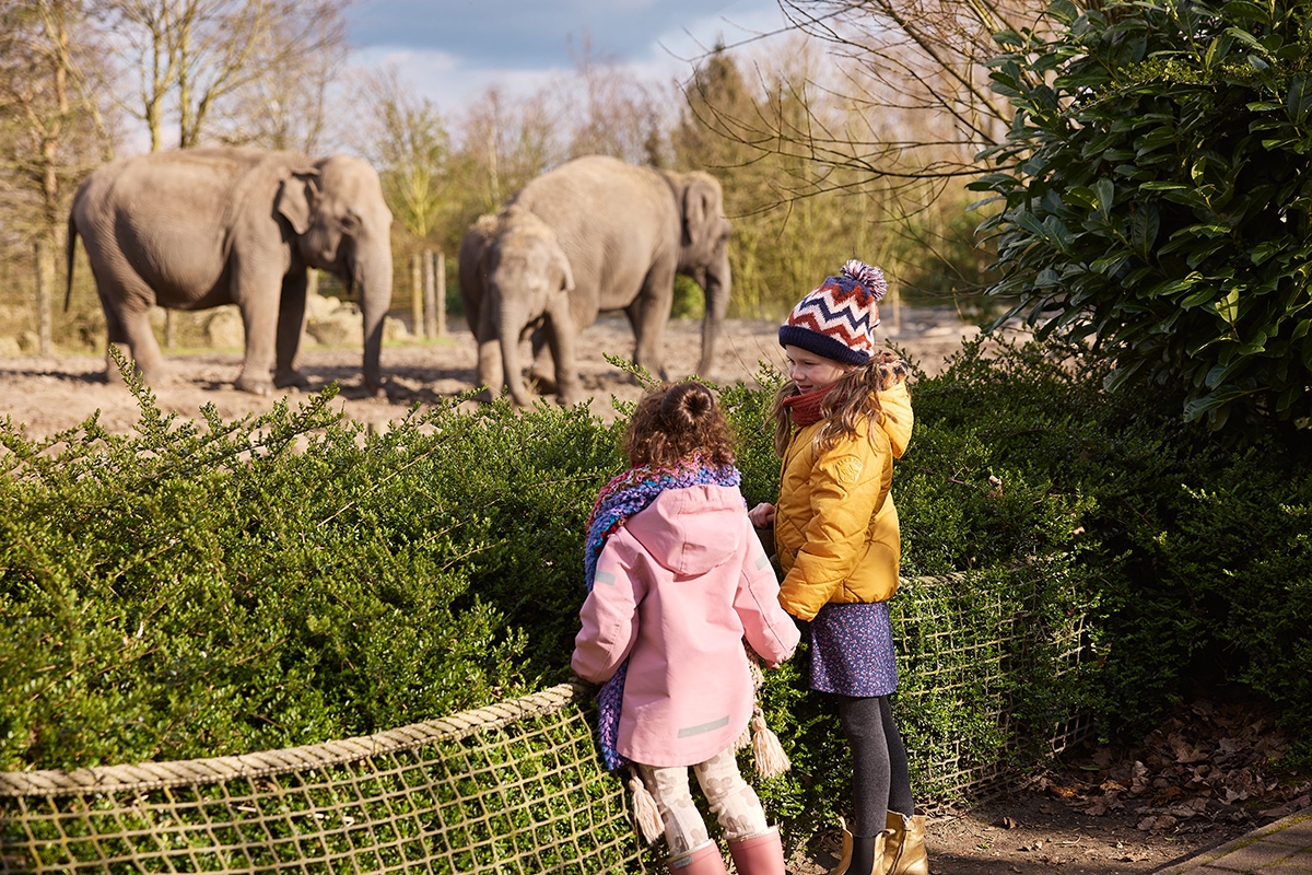 Entreeticket Eindhoven Zoo