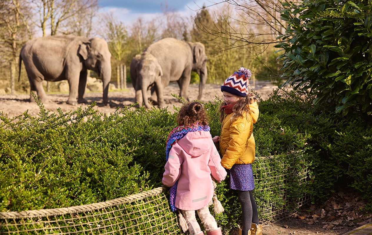 Entreeticket Eindhoven Zoo