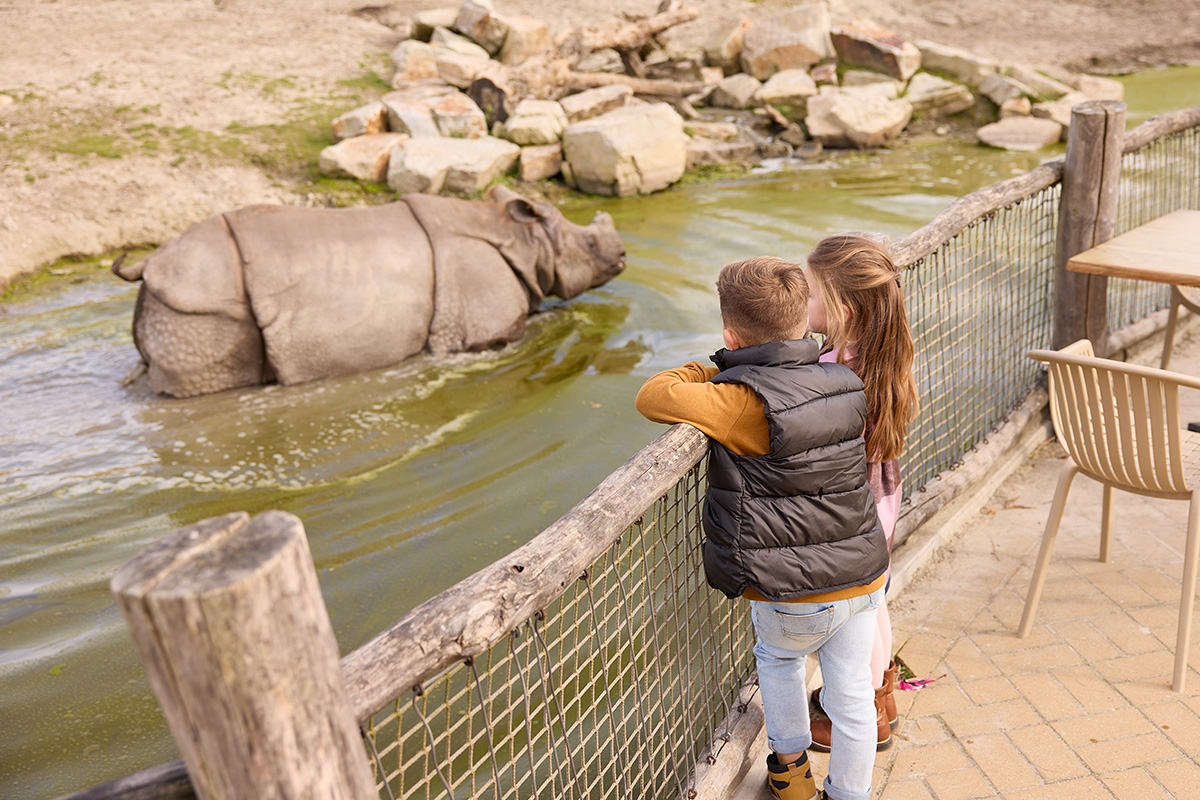 Entreeticket Eindhoven Zoo