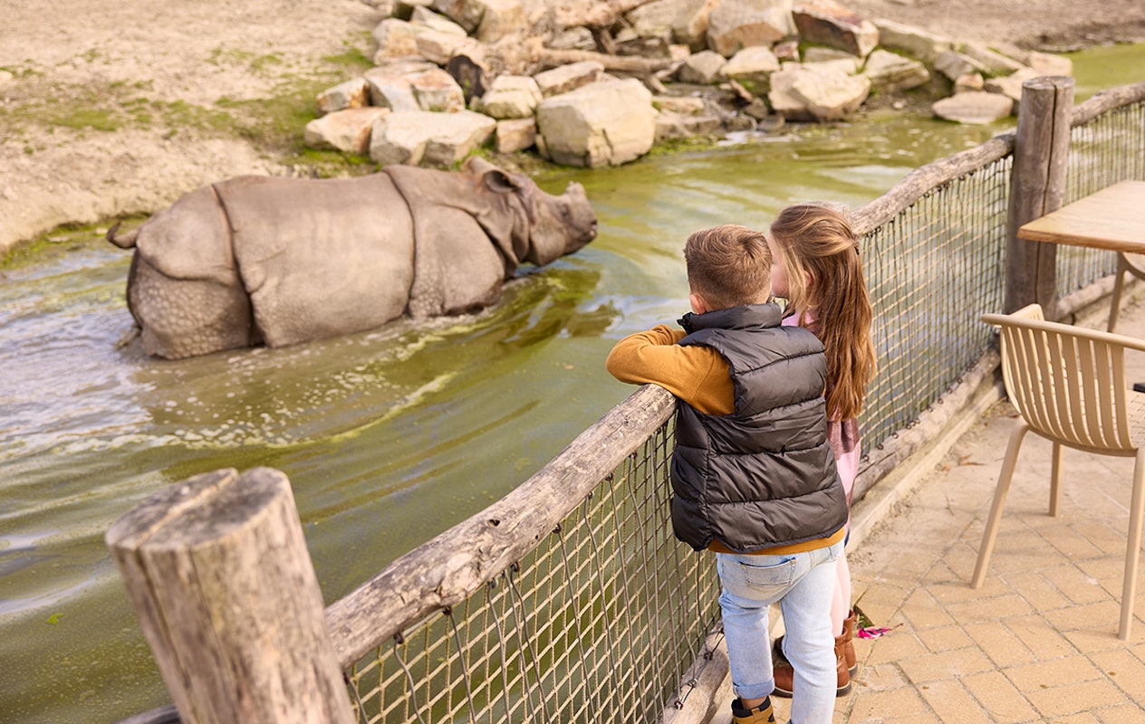 Entreeticket Eindhoven Zoo