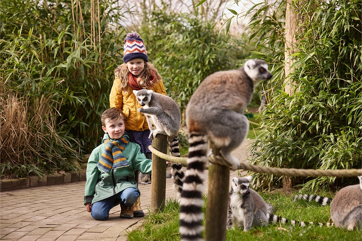 Entreeticket Eindhoven Zoo
