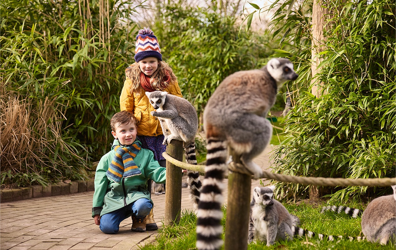 Entreeticket Eindhoven Zoo