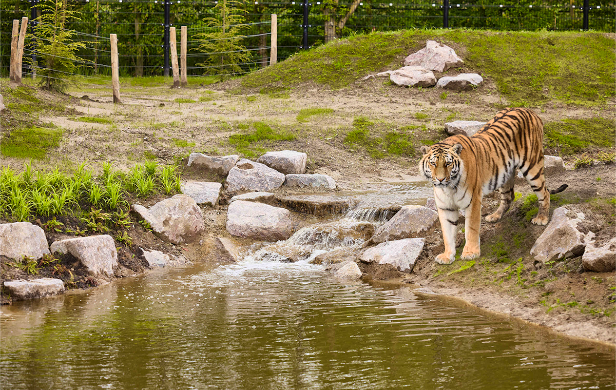 Entreeticket Eindhoven Zoo