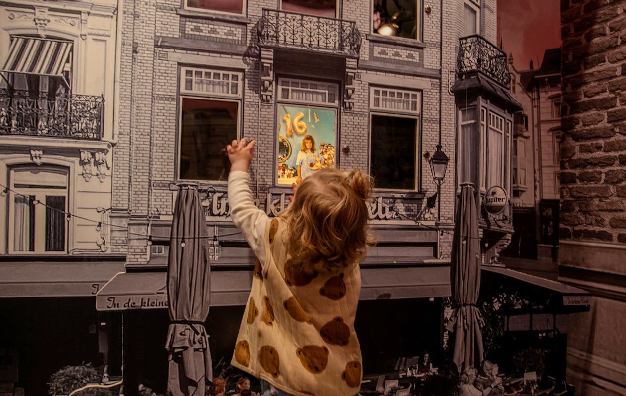 Entree + Bossche Bollen wandeling + koffie met Bossche Bol