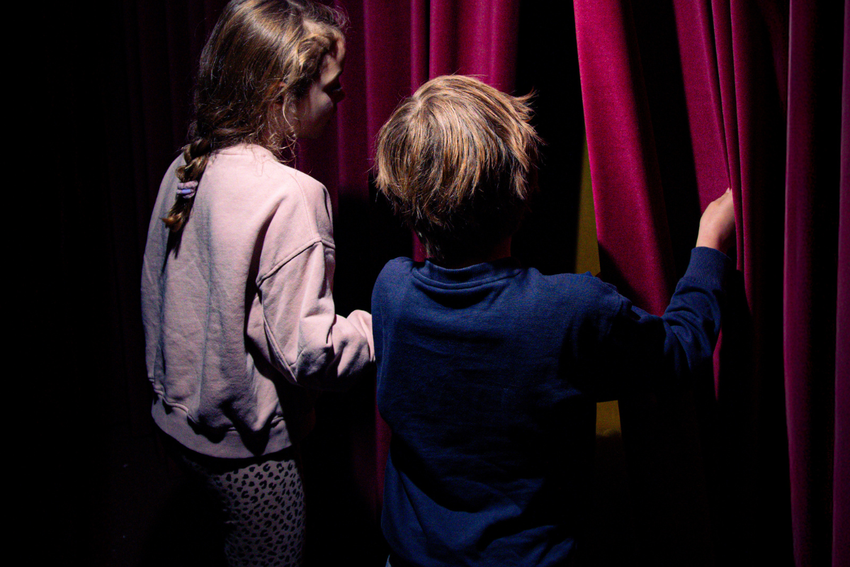 Entree + Bossche Bollen wandeling + koffie met Bossche Bol