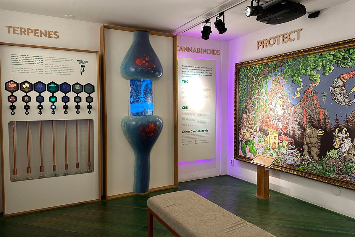 Entreetickets Cannabis Museum (2 personen)