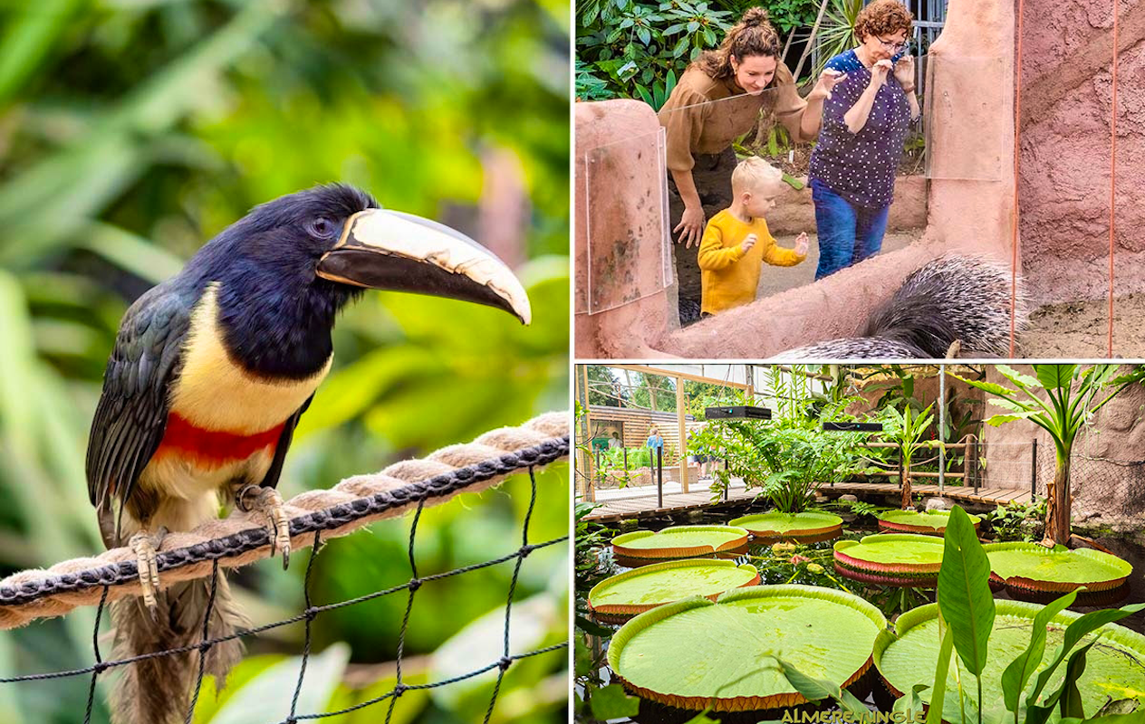 Entreeticket Almere Jungle + hapje en drankje