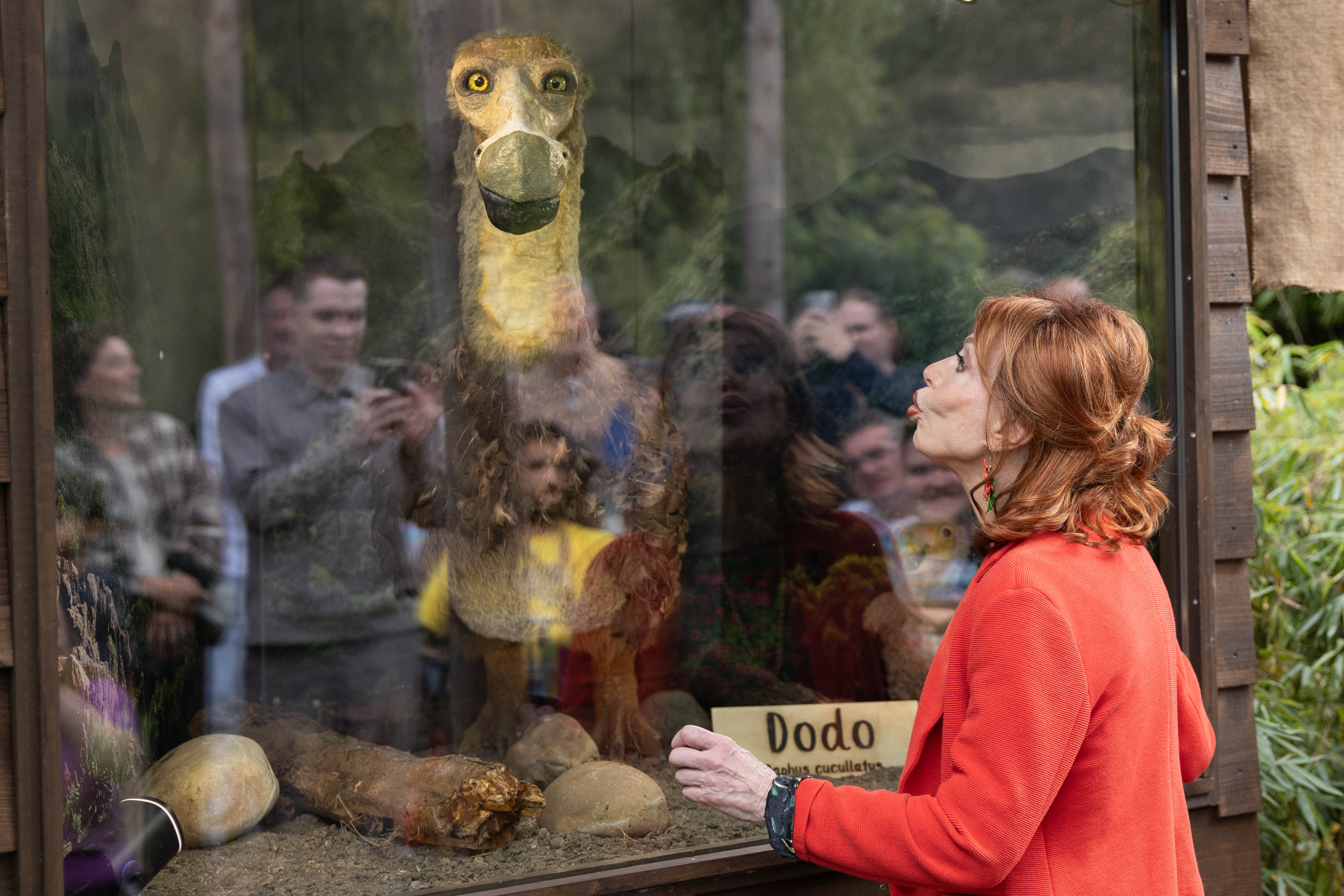 Admission ticket Almere Jungle + optional snack and drink