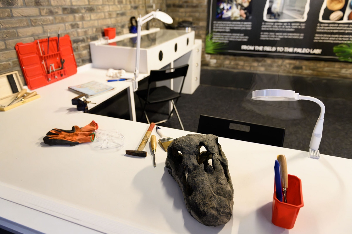 Entreeticket Dino Experience Park + Jurassic Golf