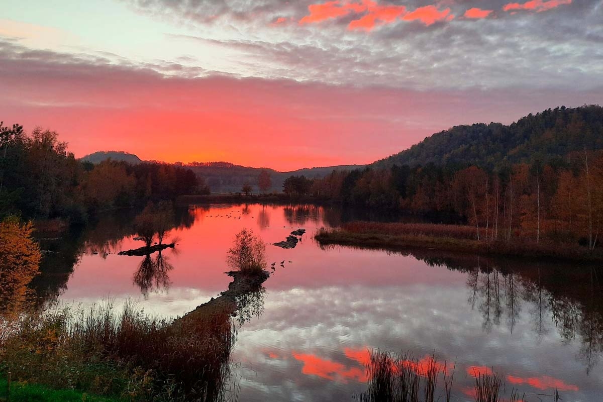 Entree + Halotherapie bij Elaisa Energetic Wellness