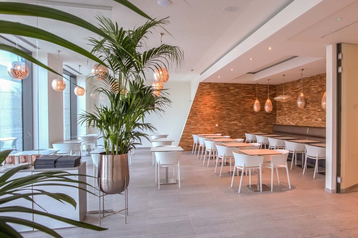 Entree + Halotherapie bij Elaisa Energetic Wellness