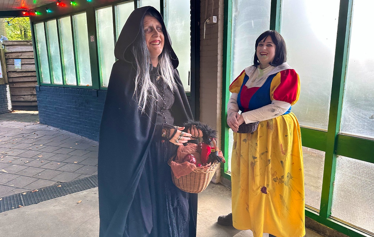 Happy Halloween in de Waarbeek, inclusief onbeperkt eten + drinken