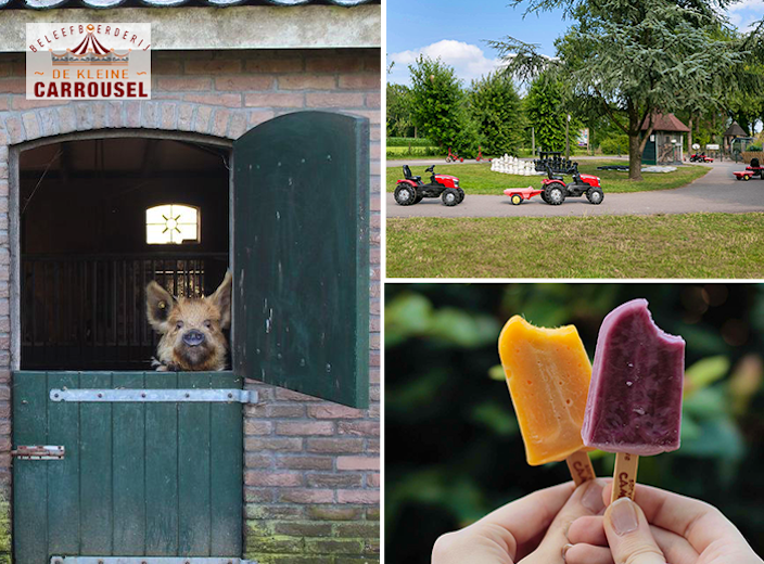 Entree + waterijsje Beleefboerderij De kleine Carrousel (2 personen)