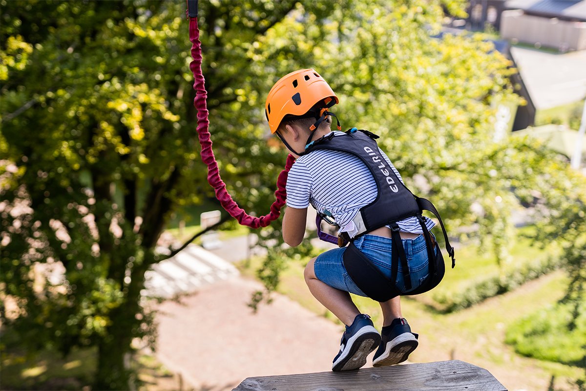 2,5 uur klimmen bij Klimbos Harderwijk incl. Free Fall